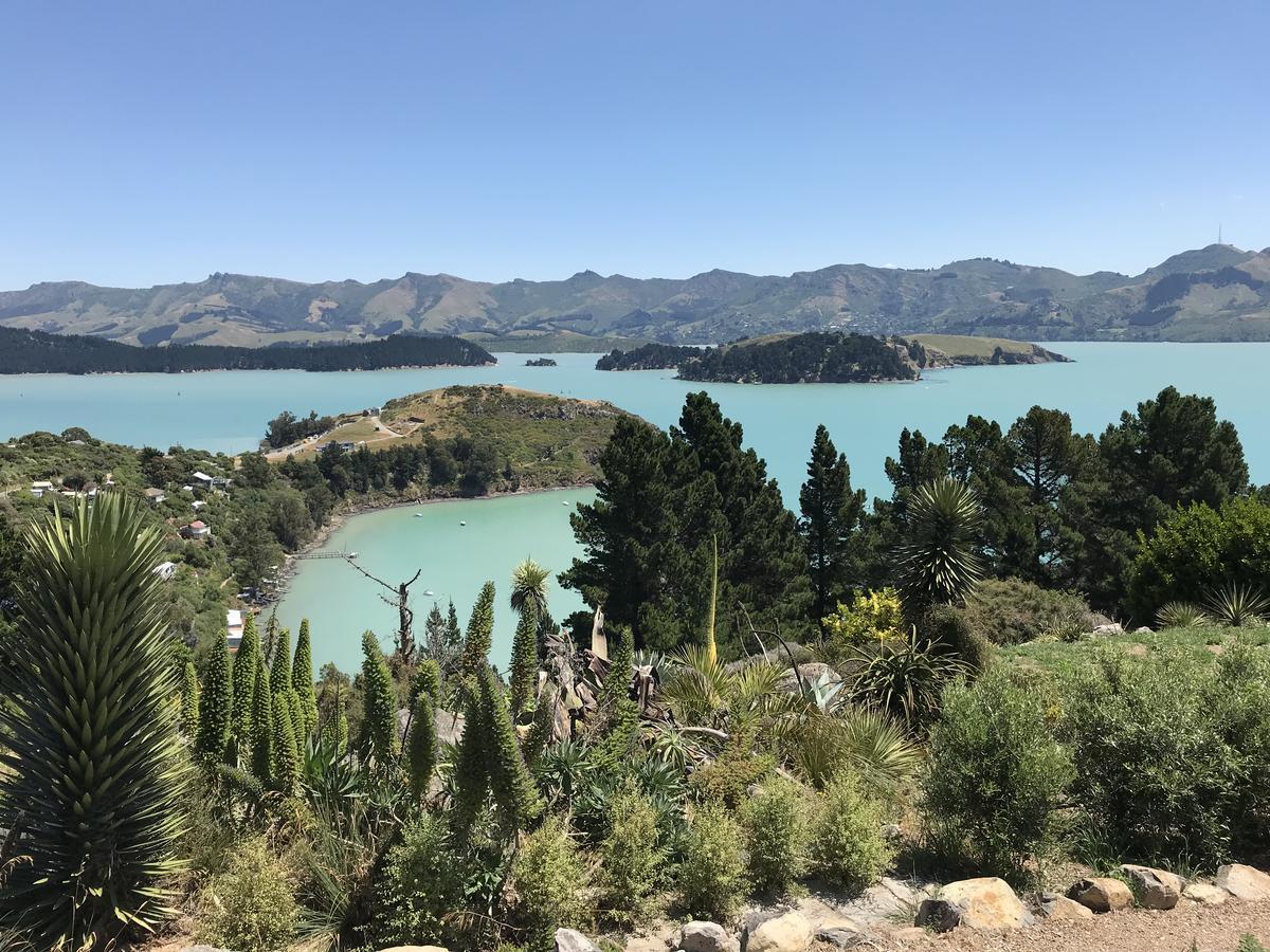 Church Bay Cabin: Sunny, Great Views Apartman Lyttelton Kültér fotó